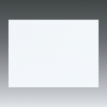 Projector Screens - サンワサプライ プロジェクタースクリーン マグネット式 PRS-WB9012K【メーカー直送：代金引換不可：同梱不可】【北海道・沖縄・離島は配達不可】
