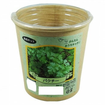 フォレスト かんたんおうちキッチン パクチー【メーカー直送：代金引換不可：同梱不可】【北海道・沖縄・離島は配達不可】
