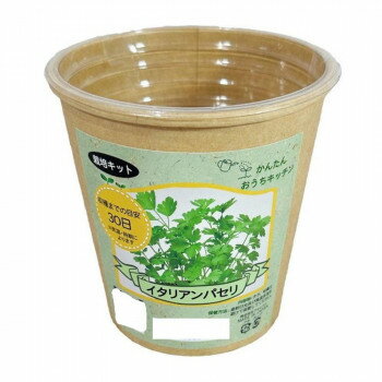 フォレスト かんたんおうちキッチン イタリアンパセリ【メーカー直送：代金引換不可：同梱不可】【北海道・沖縄・離島は配達不可】
