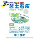 苦土石灰 粉状 5kg 大宮グリーンサービス [ガーデニング 土 肥料 薬]