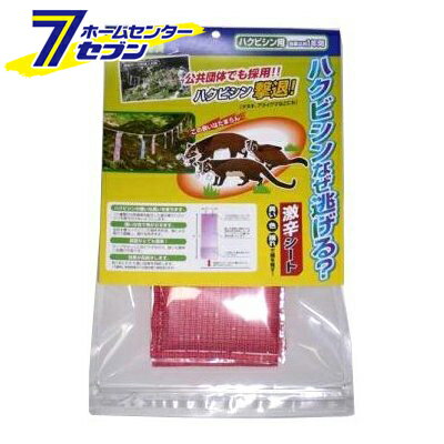 「ハクビシンナゼ逃ゲル? 6枚入 長谷弘工業 [花・ガーデン・DIY /ガーデニング/農業資材/家庭菜園/園芸/野菜/防獣/ハクビシン]」は、株式会社ホームセンターセブンが販売しております。メーカー長谷弘工業品名ハクビシンナゼ逃ゲル? 6枚入品番又はJANコードJAN:4963034400726サイズ-重量-商品説明●10種類の天然植物を配合した、激辛臭でハクビシン等を寄せ付けない。●臭い、色、揺れで脅します。●約1年にわたり臭い効果を持続。●ロープやネットに吊り下げるだけ。●赤色を嫌うハクビシン等の習性を利用、風による揺れで威嚇し、慣れを防ぐ。※画像はイメージです。※商品の色は、コンピュータディスプレイの性質上、実際の色とは多少異なります。※仕様は予告なく変更する場合があります。実際の商品とデザイン、色、仕様が一部異なる場合がございます。