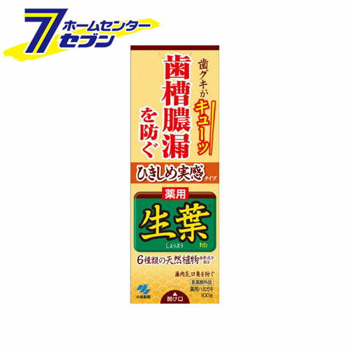 ひきしめ生葉(しょうよう) 歯槽膿漏を防ぐ 薬用ハミガキ ハーブミント味 100g 小林製薬 