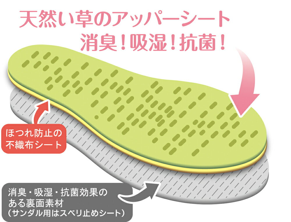 い草インソール ガルーダ BL 女性用Sサイズ（22〜22.5cm） 大島屋 [中敷き インソール] 3