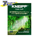 クナイプ グーテルフト バスソルト グーテルフト パイン (松の木) & モミの香り （40g） クナイプ [KNEIPP 入浴剤 癒し スパ用品 アロマバス]