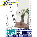 オーム電機 ラミネートフィルム100ミクロン ハガキサイズ 100枚00-5534 LAM-FH1003[オフィス機器:ラミネーター]