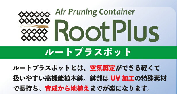 【ポイント5倍】ルートプラスポット 95L×2個セット GS-AP550M エアープルーニングコンテナ 南栄工業 [植木鉢 プランター 根巻き防止 空気剪定 UV加工 園芸]【ポイントUP:2024年5月9日 20:00から 5月16日 1:59まで】 2