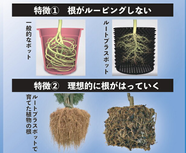 【ポイント5倍】ルートプラスポット 95L×2個セット GS-AP550M エアープルーニングコンテナ 南栄工業 [植木鉢 プランター 根巻き防止 空気剪定 UV加工 園芸]【ポイントUP:2024年5月9日 20:00から 5月16日 1:59まで】 3