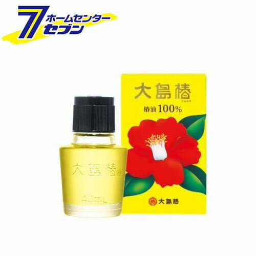 大島椿 (40ml) [パサツキ 乾燥 保湿 ヘアオイル 大島椿]