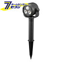 LEDガーデンライト 土にさして使うセンサーライト 電池式 昼白色 (品番)06-4102 LS-B300GS-2 [照明器具:ガーデンライト・投光器 オーム電...