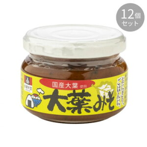 会津天宝 大葉みそ 100g ×12個セット【メーカー直送：代金引換不可：同梱不可】【北海道・沖縄・離島は配達不可】