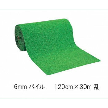 ワタナベ 人工芝 ロールタイプ タフト芝 6mmパイル WT-600 120cm×30m乱【メーカー直送：代金引換不可：同梱不可】【北海道・沖縄・離島は配達不可】