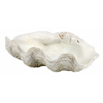 ������ץ졼�� 80429�ڥ᡼����ľ�����������Բġ�Ʊ���Բġۡ��̳�ƻ�����졦Υ�����ã�Բġ�