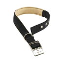 ファープラスト デイトナ C40/63 犬用首輪 ブラック 75297017【メーカー直送:代金引換不可:同梱不可】【北海道・沖縄・離島は配達不可】