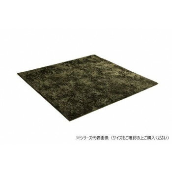 ラグ 制菌加工 約3畳 約200×250cm ホットカーペット対応 グリーン 3985179【メーカー直送：代金引換不可：同梱不可】【北海道・沖縄・離島は配達不可】