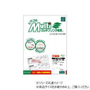 ヒサゴ マルチプリンタ帳票 A4 白紙 タテ 2面 100枚 FSC2073【メーカー直送:代金引換不可:同梱不可】【北海道・沖縄・離島は配達不可】
