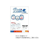 ヒサゴ マルチプリンタ帳票 B4 カラー 4面 100枚 BP2050【メーカー直送:代金引換不可:同梱不可】【北海道・沖縄・離島は配達不可】