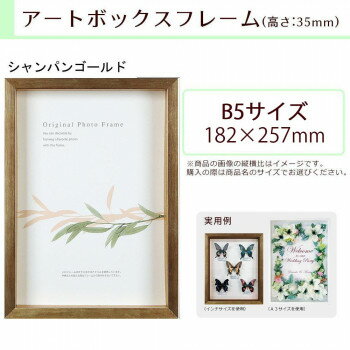 A.P.J. BOXフレーム アートボックスフレーム(高さ:35mm) B5サイズ(182×257mm) シャンパンゴールド 0021768719【メーカー直送：代金引換不可：同梱不可】【北海道・沖縄・離島は配達不可】