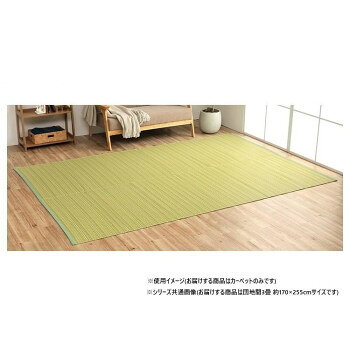 Door Mats - 日本製 洗えるい草調カーペット グリーン 団地間3畳 約170×255cm 1090030120302【メーカー直送：代金引換不可：同梱不可】【北海道・沖縄・離島は配達不可】