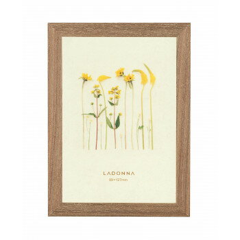 ラドンナ フォトフレーム 写真立て AVANTI アバンティ　DF53-L-BR【配送方法:メール便/同梱不可/代引不可/日時指定不可】【北海道・沖縄・離島は配達不可】