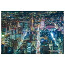 300Pジグソー 日本の都市14 愛知県名古屋市「中区栄方面夜景」 300-332【メーカー直送:代金引換不可:同梱不可】【北海道・沖縄・離島は配達不可】(3)