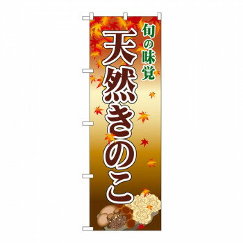 Nのぼり 2764 天然きのこ【メーカー直送：代金引換不可：同梱不可】【北海道・沖縄・離島は配達不可】