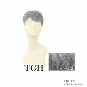 プリシラ 男性用5分ウィッグ レイヤーショート 耐熱 グレイヘア GB-22-TGH【メーカー直送:代金引換不可:同梱不可】【北海道・沖縄・離島は配達不可】