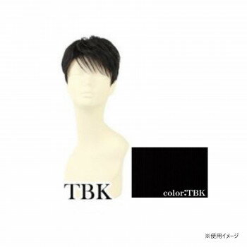 プリシラ 男性用5分ウィッグ ボリュームショート 耐熱 ブラック GB-23-TBK【メーカー直送:代金引換不可:同梱不可】【北海道・沖縄・離島は配達不可】 プリシラ 男性用5分ウィッグ ボリュームショート 耐熱 ブラック GB-23-TBK【メーカー直送:代金引換不可:同梱不可】【北海道・沖縄・離島は配達不可】