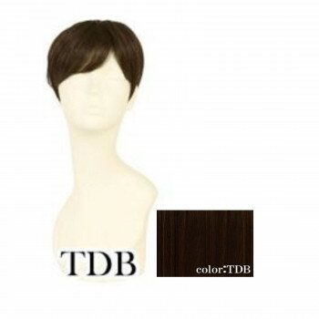 プリシラ 男性用5分ウィッグ ミディアムショート 耐熱 ダークブラウン GB-24-TDB【メーカー直送:代金引換不可:同梱不可】【北海道・沖縄・離島は配達不可】