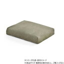 B.Bファニシング infinite オットマンクッションカバー キャンバスグリーン IFSF0308CAGRN【メーカー直送:代金引換不可:同梱不可】【北海道・沖縄・離島は配達不可】