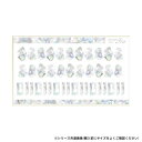 Sha-Nail Pro 写ネイル ネイルシール STARLIGHT SHELL (M) CH-002m【メーカー直送:代金引換不可:同梱不可】【北海道・沖縄・離島は配達不可】