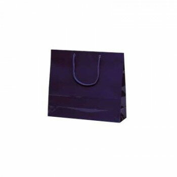 ファインバッグ手提袋 ネイビー 1174 10枚【メーカー直送:代金引換不可:同梱不可】【北海道・沖縄・離島は配達不可】