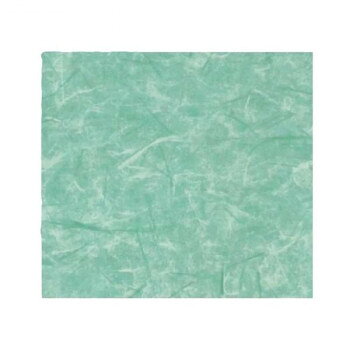  ή() Ƚ 787 100ڥ᡼ľԲġƱԲġ̳ۡƻ졦ΥãԲġ