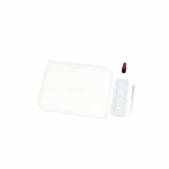 ƥå ϲĿͥå 20824ڥ᡼ľԲġƱԲġ̳ۡƻ졦ΥãԲġ