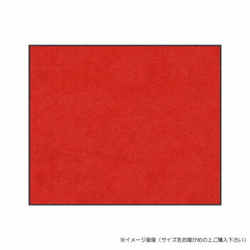 Mats - (クリーンテックス) スタンダードマットS レッド 75×120 cm【メーカー直送：代金引換不可：同梱不可】【北海道・沖縄・離島は配達不可】