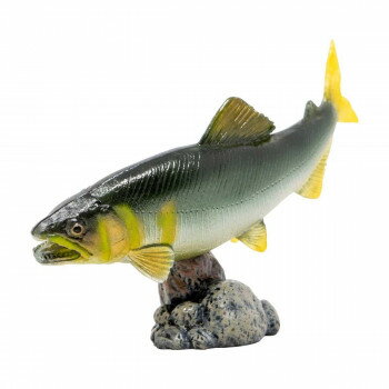 AF-206 アユ ミニモデル 74206【メーカー直送：代金引換不可：同梱不可】【北海道・沖縄・離島は配達不可】