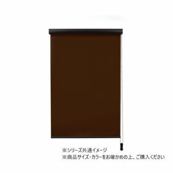 ロールスクリーン エクシヴ 遮光タイプ 幅170×高さ220cm 遮光ブラウン・L3538【メーカー直送：代金引換不可：同梱不可】【北海道・沖縄・離島は配達不可】