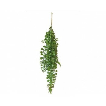 グリーンブッシュ ペペロミア 167778【メーカー直送：代金引換不可：同梱不可】【北海道・沖縄・離島は配達不可】