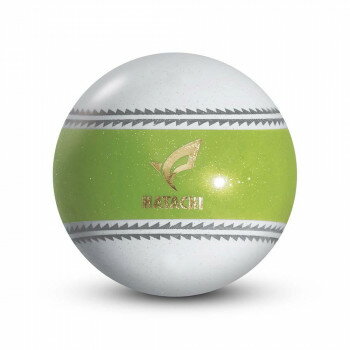 羽立工業 PGナビゲーション ライトグリーン PH3720-37【メーカー直送：代金引換不可：同梱不可】【北海道・沖縄・離島は配達不可】