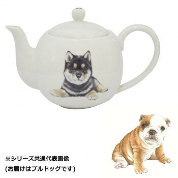 ※パッケージ、デザイン等は予告なく変更される場合があります。※画像はイメージです。商品タイトルと一致しない場合があります。緑茶も紅茶もOK。ステンレス茶こし付のポットです。ご自分用、プレゼントにもおすすめのかわいい丸型ポットです。サイズ縦11.0cm、横19.5cm、高さ11.5cm個装サイズ：14×17×12cm重量約353g個装重量：439g素材・材質陶器仕様食洗機:対応電子レンジ:非対応商品容量:550cc生産国日本広告文責:株式会社ホームセンターセブンTEL:0978-33-2811※パッケージ、デザイン等は予告なく変更される場合があります。※画像はイメージです。商品タイトルと一致しない場合があります。fk094igrjs