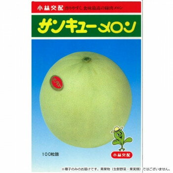 小林種苗 メロン種子 サンキュー　8132　100粒【メーカー直送：代金引換不可：同梱不可】【北海道・沖縄・離島は配達不可】