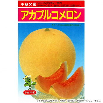 ※パッケージ、デザイン等は予告なく変更される場合があります。※画像はイメージです。商品タイトルと一致しない場合があります。省力、ハウス地這抑制栽培に最適種。果重は、1.2〜1.4kgで鉛鐘に近い球型。果皮は淡橙色でやや香りあり肉厚で糖度16〜17度でさわやかな甘みです。無地皮、赤肉種の中では唯一の花梗のとれない品種で夏場でも7〜10日と日持ちが良い。草勢おとなしく細づる、切場の小型、節間短く密植に適します。べと病、うどんこ病には実用的な耐病性を持ち、その他病害にも強く着果性に優れ安心して作れます。【播種期の設定】収穫時の最低夜温が、17度以上になるように設定し、それより約80日前を播種期とする。なお、海抜の高い所は、6月播きも可能である。春作の2月播き、秋作の8月中旬以降播きは、果肉色が出ないことがありますから温度不足には注意下さい。【注意事項】※種子は播種後の栽培条件、天候事情により、その結果が異なる場合がございます。万が一、結果不良でも保証はできかねます。※一部地域(郡部・山間部等)は時間帯指定不可となります。サイズ個装サイズ：20×20×15cm重量個装重量：50g仕様内容量:100粒生産国タイ広告文責:株式会社ホームセンターセブンTEL:0978-33-2811※パッケージ、デザイン等は予告なく変更される場合があります。※画像はイメージです。商品タイトルと一致しない場合があります。fk094igrjs
