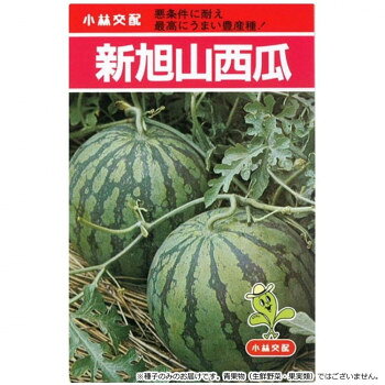 ※パッケージ、デザイン等は予告なく変更される場合があります。※画像はイメージです。商品タイトルと一致しない場合があります。果実は濃緑色の地に美しい縞皮、やや腰高の正円形。果重5〜6kgの玉揃いで果皮は強靭で輸送性に優れています。果肉は明るい桃紅色、舌触りが良く食味は最良。天候に左右されにくく、糖度は12〜13度程です。耐病性でツルは中細、葉は小型で乾燥にも強くツルボケが少ないです。着果力が旺盛で成り込み良く果形も安定。熟期は中生になります。早期栽培では開花後50〜55日、適温期栽培は43〜45日で収穫期に入ります。【栽培のポイント】・中生種で肉質がしまっており、肉崩れの心配がないため、盛夏をねらった大面積の粗放栽培が有利となります。・適期をつかみ、十分に完熟させて収穫してください。【注意事項】※種子は播種後の栽培条件、天候事情により、その結果が異なる場合がございます。万が一、結果不良でも保証はできかねます。※一部地域(郡部・山間部等)は時間帯指定不可となります。サイズ個装サイズ：15×10×1cm重量個装重量：30g仕様内容量:小袋(8粒)生産国タイ広告文責:株式会社ホームセンターセブンTEL:0978-33-2811※パッケージ、デザイン等は予告なく変更される場合があります。※画像はイメージです。商品タイトルと一致しない場合があります。fk094igrjs