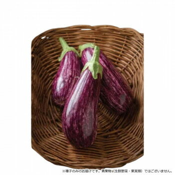 小林種苗 ナス種子 とげなししまじろう 8148 小袋(7粒)【メーカー直送：代金引換不可：同梱不可】【北海道・沖縄・離島は配達不可】