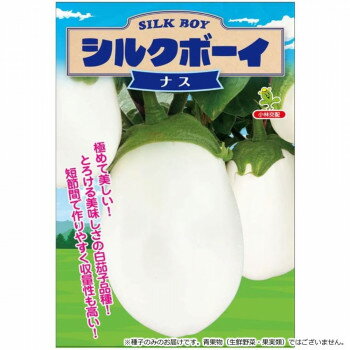 小林種苗 ナス種子 シルクボーイ 白ナス 8151 小袋(15粒)【メーカー直送：代金引換不可：同梱不可】【北海道・沖縄・離島は配達不可】