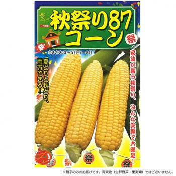 ※パッケージ、デザイン等は予告なく変更される場合があります。※画像はイメージです。商品タイトルと一致しない場合があります。粒がきれいに並び先端までボリュームたっぷりの実入りです。可食部が最大化されています。皮が柔らかく、甘みも強いのが特長です。草姿は中勢で草丈は240cm程度になります。根張りが良いので倒伏には強いタイプです。直播で87日で収穫できます。一般的にスイートコーンは早朝に採ると、甘味がありジューシーに食すことができます。当品種なら尚更その甘味とジューシーさが増すことでしょう。【栽培のポイント】・一般的にスイートコーンは光を多く必要とします。日当たり良く、水はけの良い圃場を選ぶようにします。・深根性の作物になりますので根張りを良くし、倒伏防止に努めましょう。・過剰施肥は避けて、減肥栽培を心掛けてください。【注意事項】※種子は播種後の栽培条件、天候事情により、その結果が異なる場合がございます。万が一、結果不良でも保証はできかねます。※一部地域(郡部・山間部等)は時間帯指定不可となります。サイズ個装サイズ：15×10×1cm重量個装重量：30g仕様内容量:小袋(40粒)生産国アメリカ広告文責:株式会社ホームセンターセブンTEL:0978-33-2811※パッケージ、デザイン等は予告なく変更される場合があります。※画像はイメージです。商品タイトルと一致しない場合があります。fk094igrjs