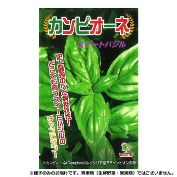 小林種苗 バジル種子 カンピオーネ　5821　コートL1000粒【メーカー直送：代金引換不可：同梱不可】【北海道・沖縄・離島は配達不可】