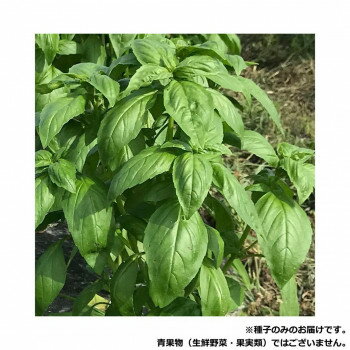 ���Ӽ��� �Х����� ���ǥ�9360��������L1000γ�ڥ᡼����ľ�����������Բġ�Ʊ���Բġۡ��̳�ƻ�����졦Υ�����ã�Բġ�