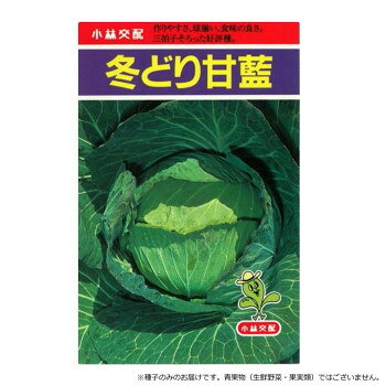 小林種苗 キャベツ種子 冬どり甘藍　17　20ml【メーカー直送：代金引換不可：同梱不可】【北海道・沖縄・離島は配達不可】