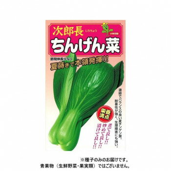 小林種苗 チンゲンサイ種子 次郎長 1 20ml【メーカー直送：代金引換不可：同梱不可】【北海道・沖縄・離島は配達不可】