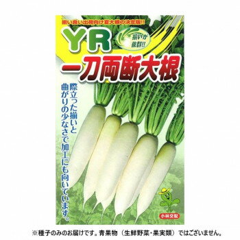 小林種苗 ダイコン種子 YR一刀両断 17 小袋(100粒)【メーカー直送：代金引換不可：同梱不可】【北海道・沖縄・離島は配達不可】